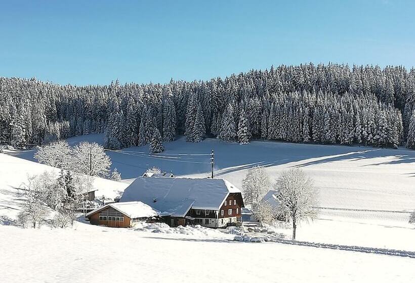 Gasthaus Pension Donishäusle