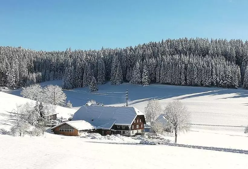 Gasthaus Pension Donishäusle