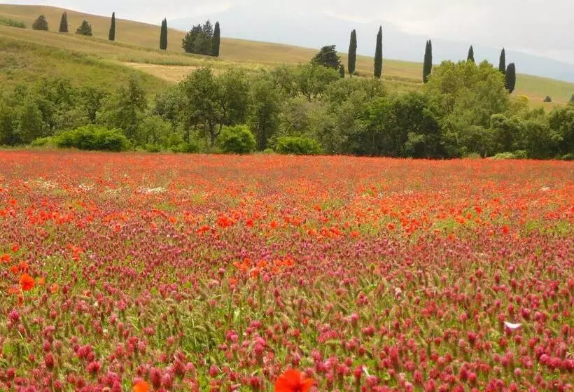 هتل Agriturismo Casalpiano