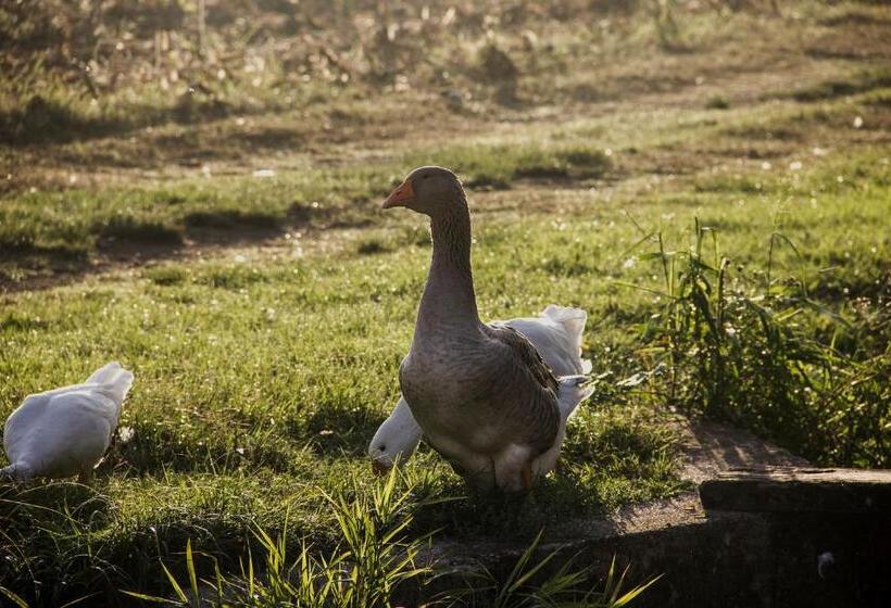 בית מלון כפרי Corte Mainolda