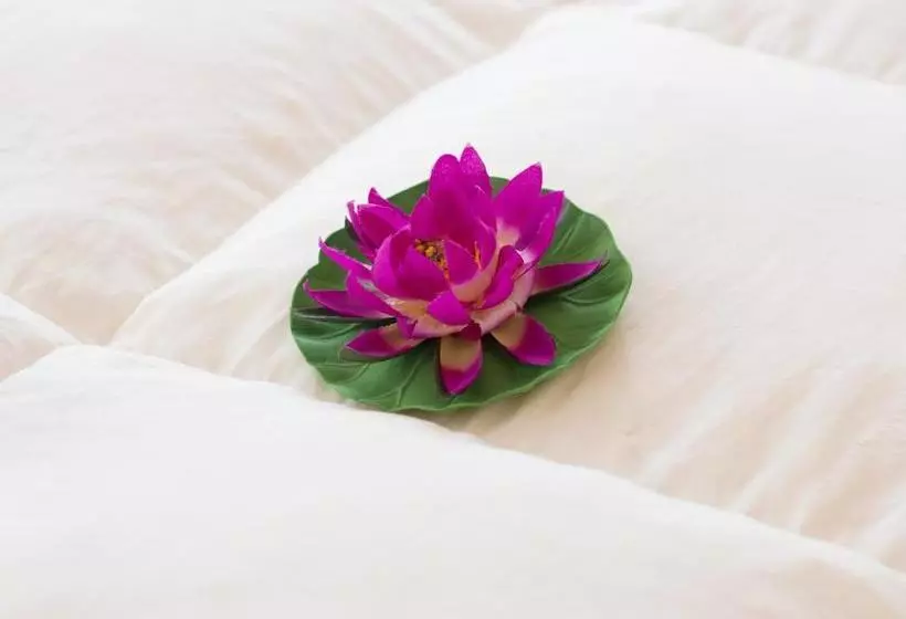 Majatalo Camere Fontanavecchia