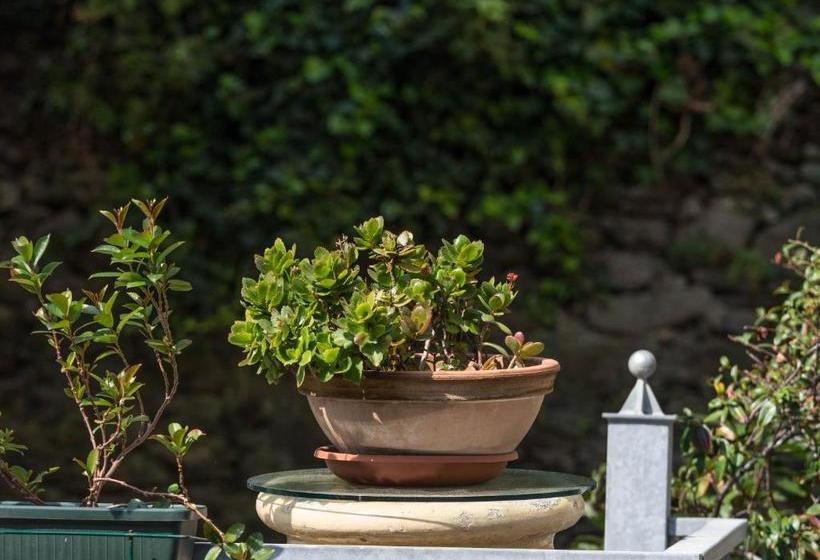 Пансион Camere Fontanavecchia