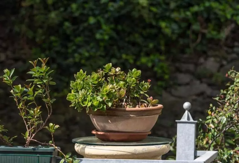 Majatalo Camere Fontanavecchia