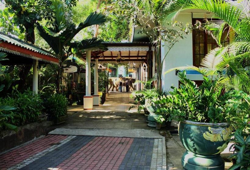 Pension Green Land Guest House