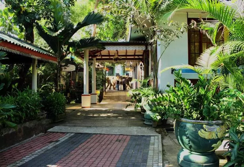 Majatalo Green Land Guest House