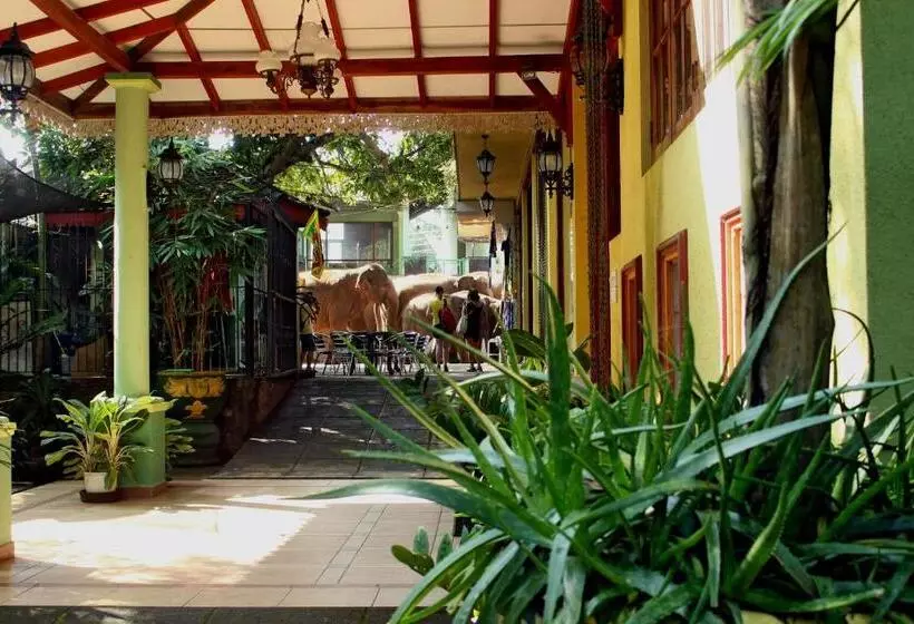 Majatalo Green Land Guest House