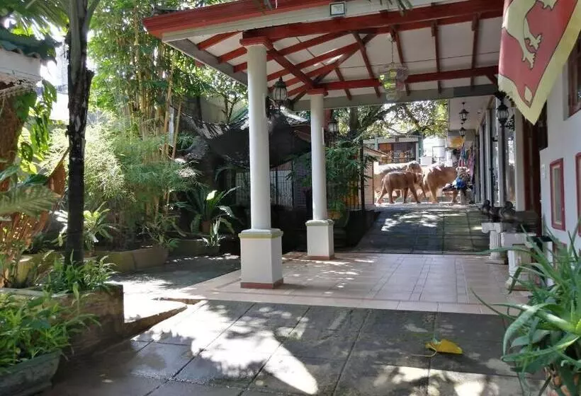 Majatalo Green Land Guest House