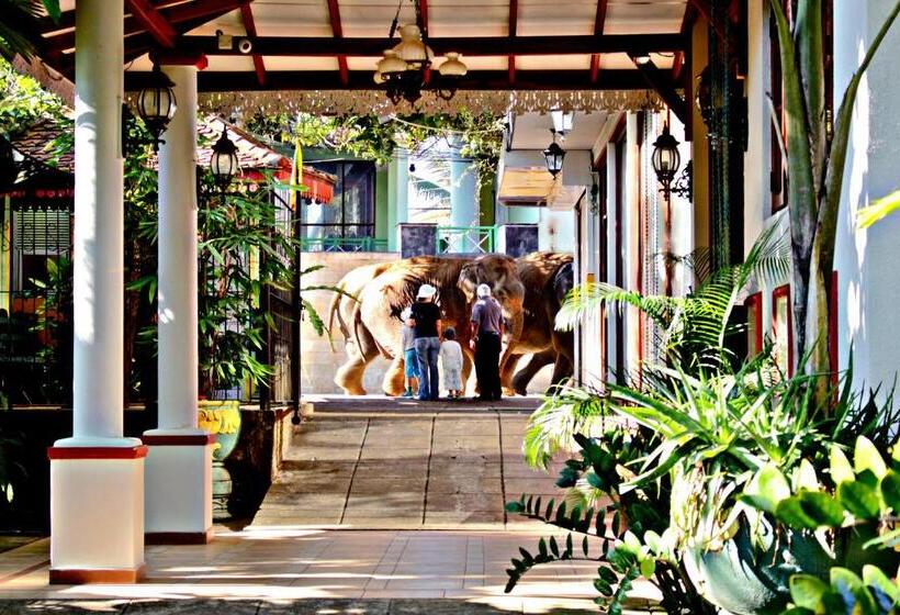 Pension Green Land Guest House