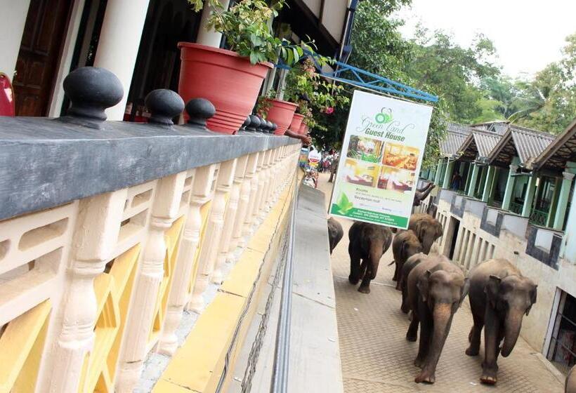 Pension Green Land Guest House