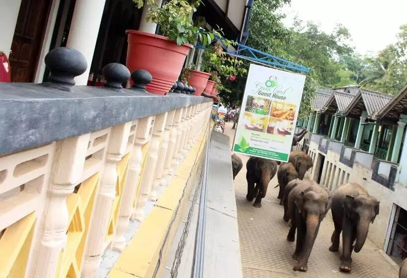 Majatalo Green Land Guest House