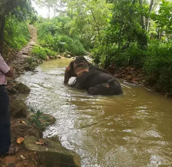 Majatalo Green Land Guest House