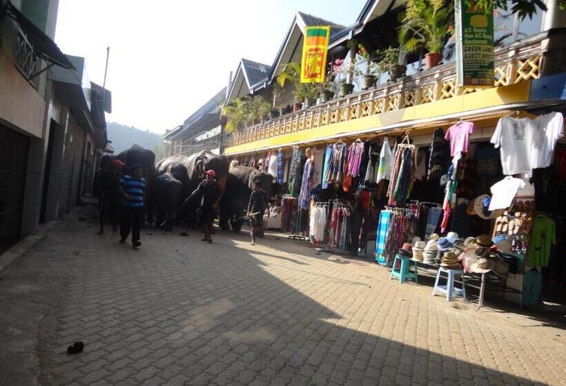 Pension Green Land Guest House