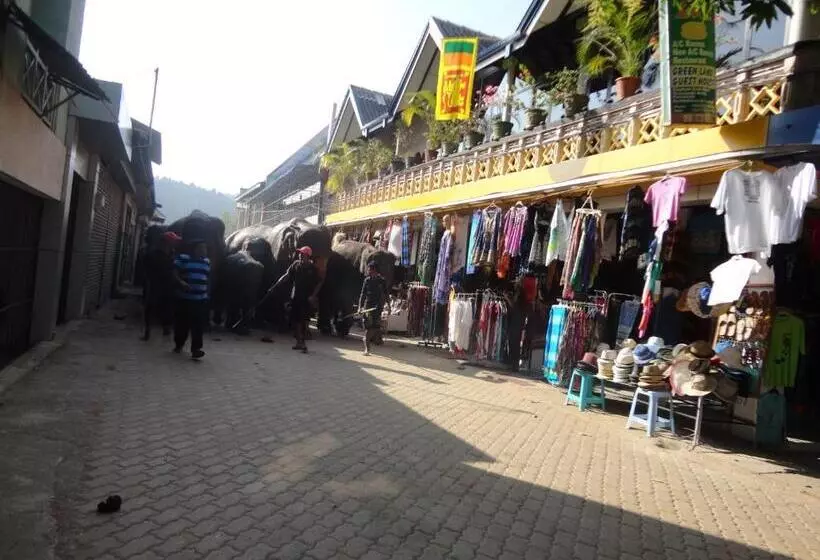 Majatalo Green Land Guest House