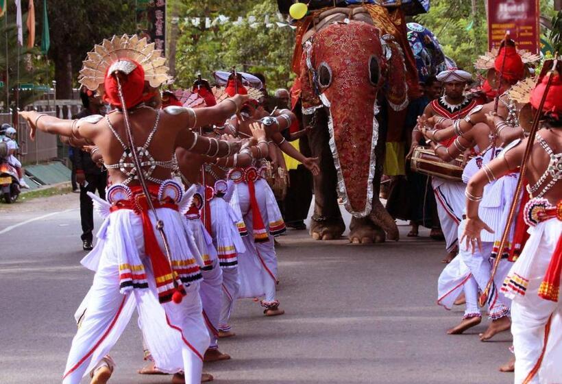 Pension Green Land Guest House