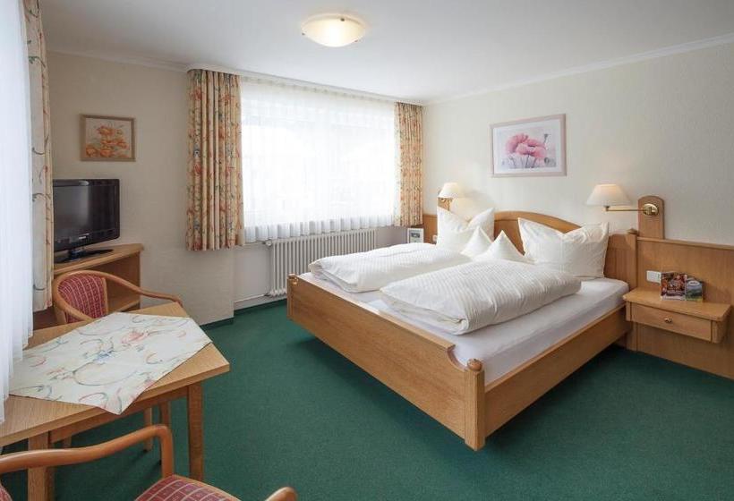 بنسيون Haus Luise