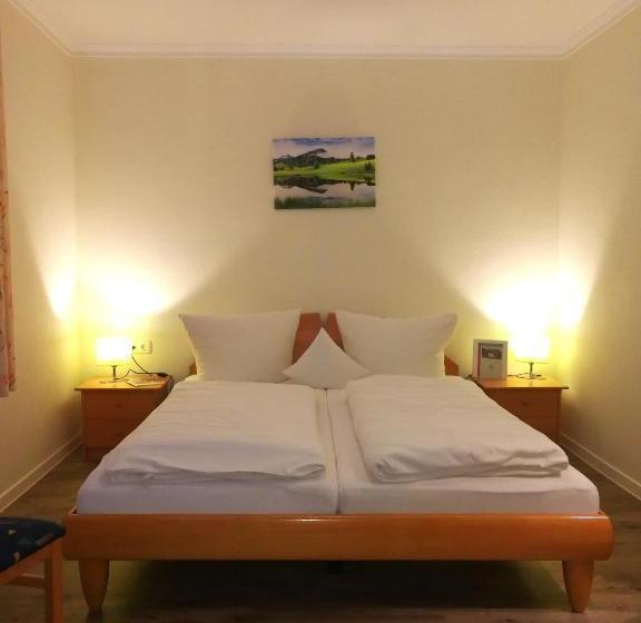 بنسيون Haus Luise