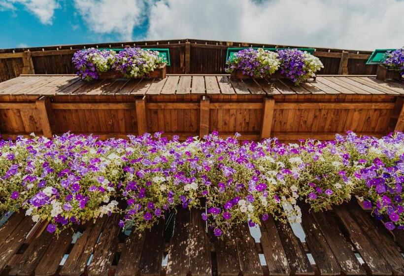 ペンション Locanda Montana