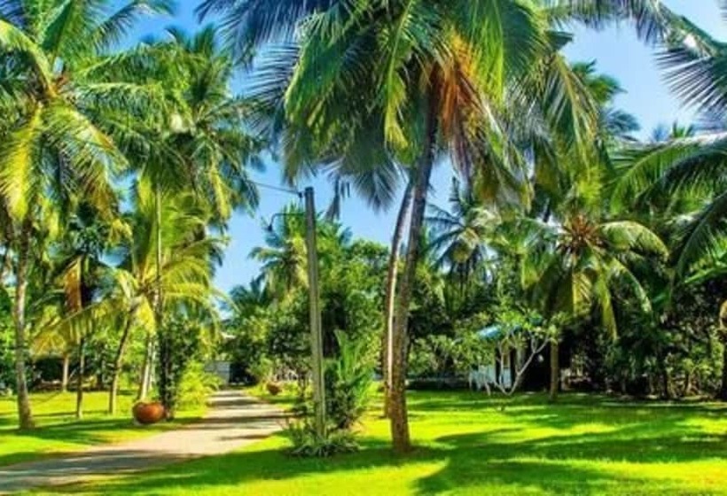 פנסיון Villa Gaetano Unawatuna