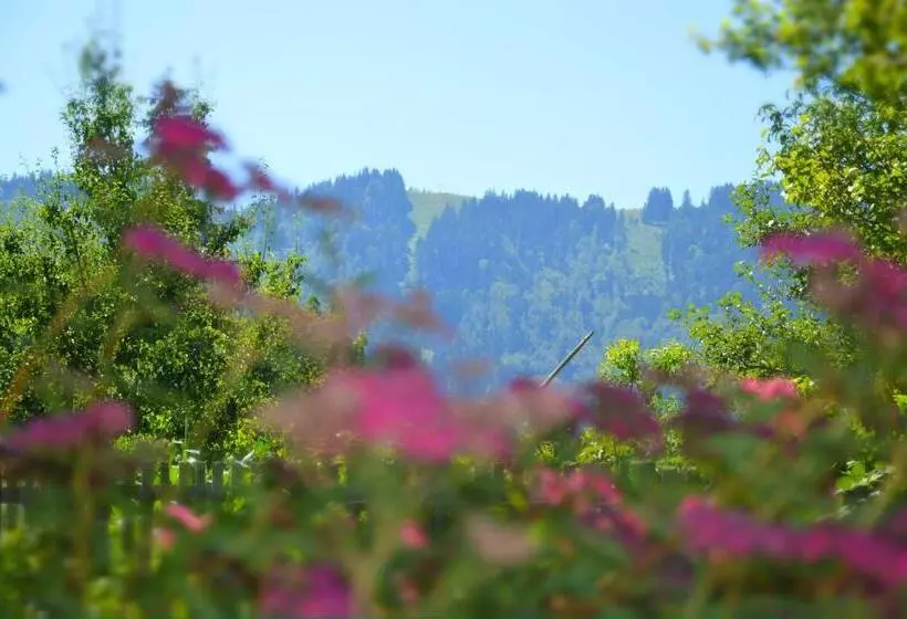 Pension Willibald
