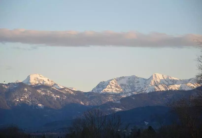 Pension Willibald