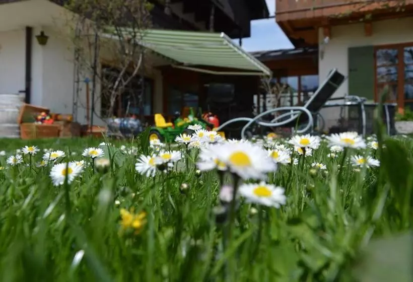 Pension Willibald