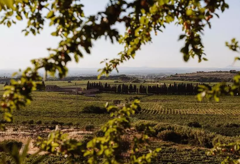 Hotel Merumalia Wine Resort