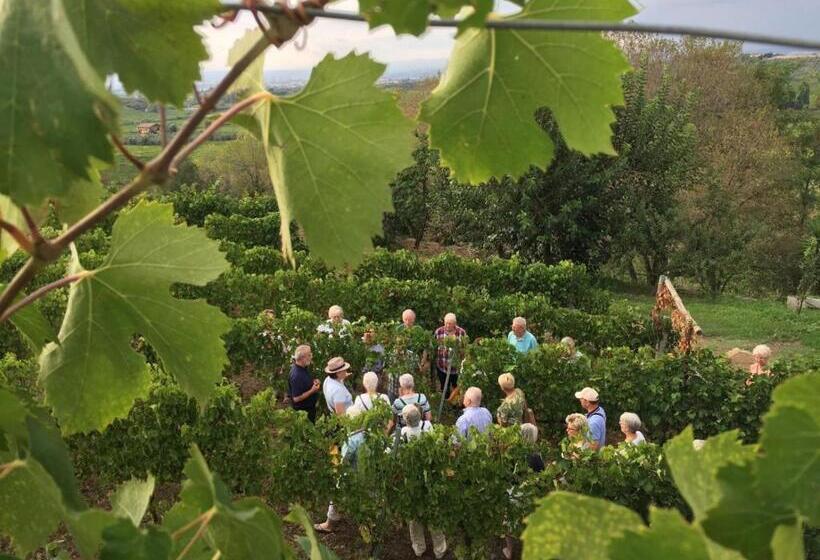 호텔 Merumalia Wine Resort