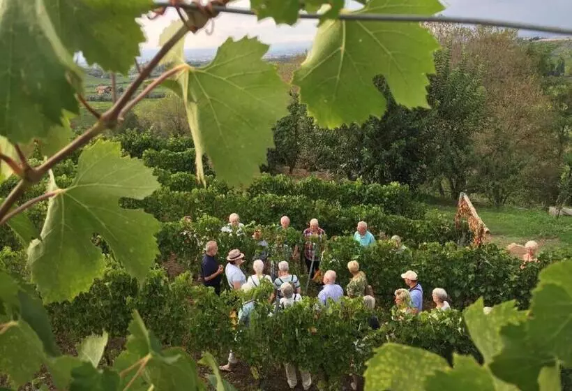 Hotel Merumalia Wine Resort