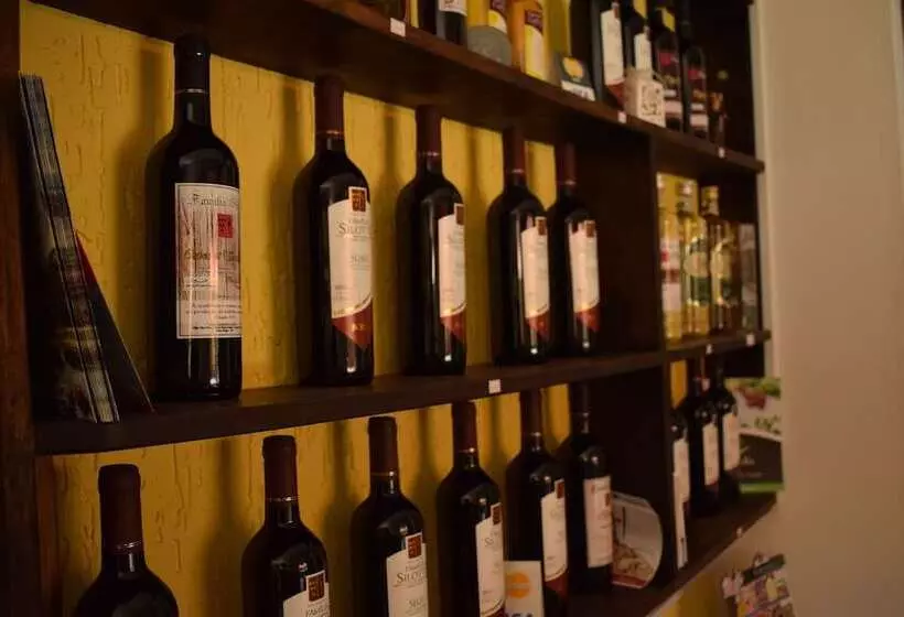 ペンション Pousada Colonetti