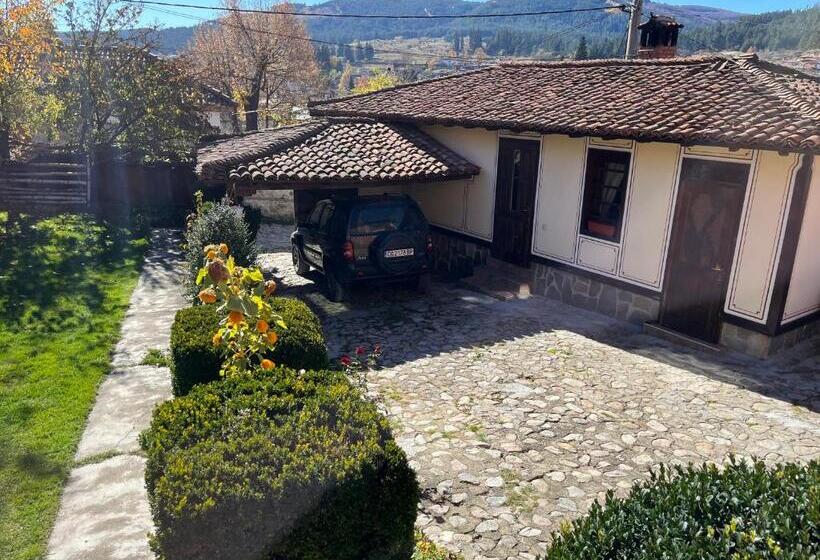 بنسيون Guest House Lina