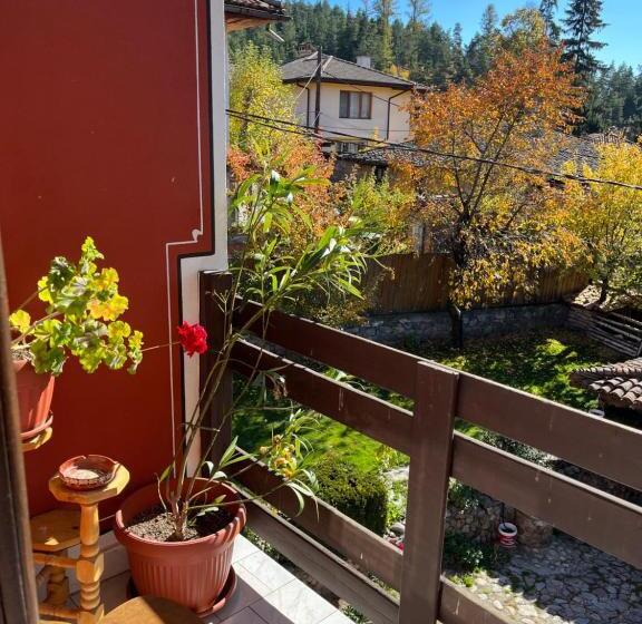 بنسيون Guest House Lina