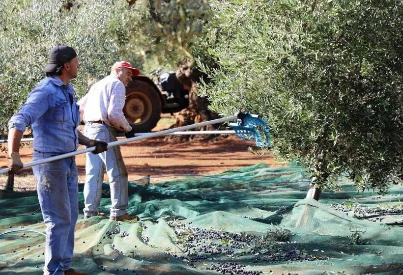 ペンション Masseria Lama Di Galizia