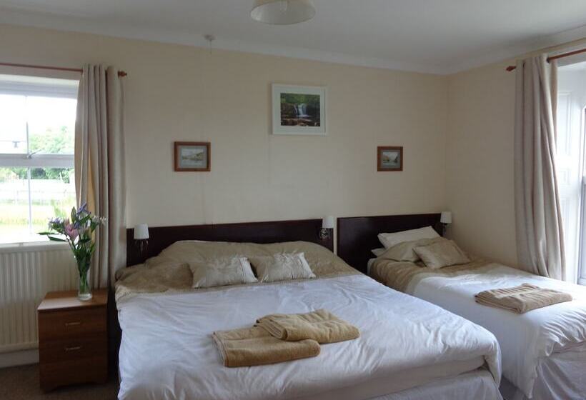 펜션 Cedars Guesthouse