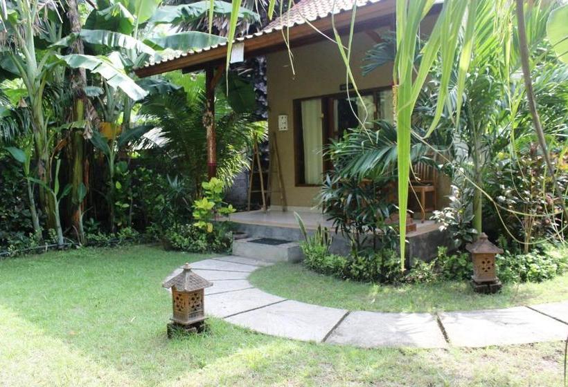 بنسيون Toke Menjangan