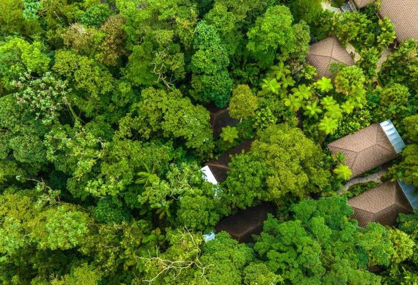 هتل Catarata Río Celeste