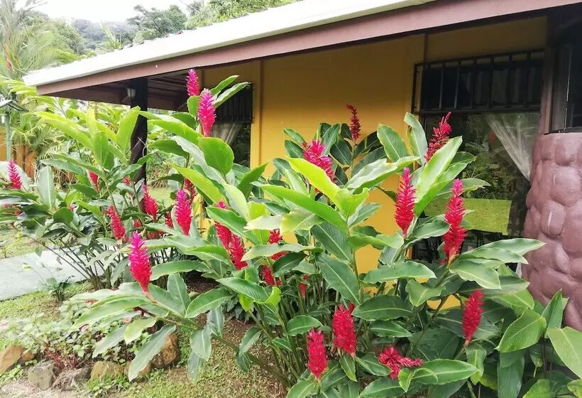 ホテル Catarata Río Celeste
