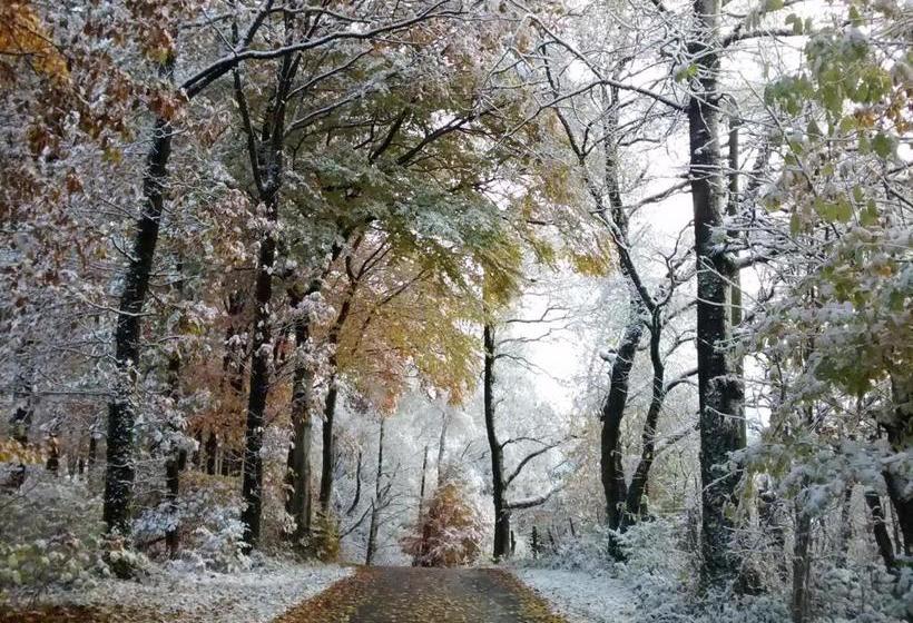 ペンション Cafe Restaurant Vedder