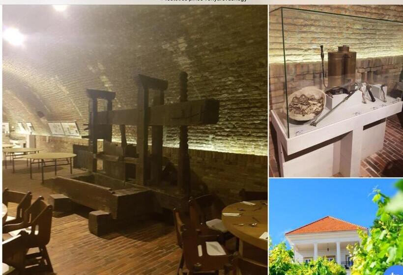 پانسیون Cyrano Vendégház