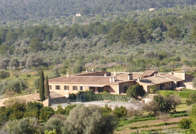 Пансион Finca Es Cabàs
