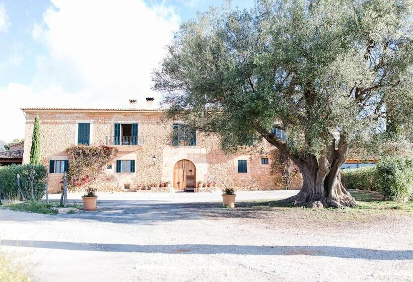 Пансион Finca Es Cabàs