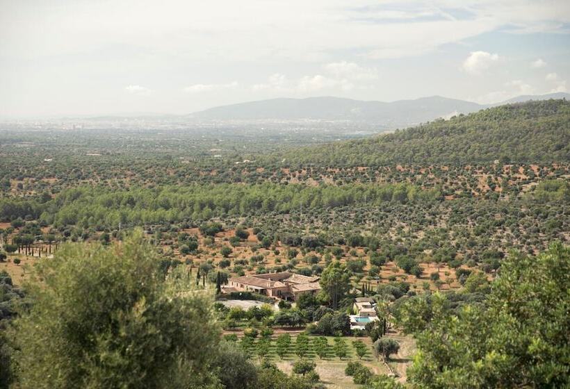 Пансион Finca Es Cabàs