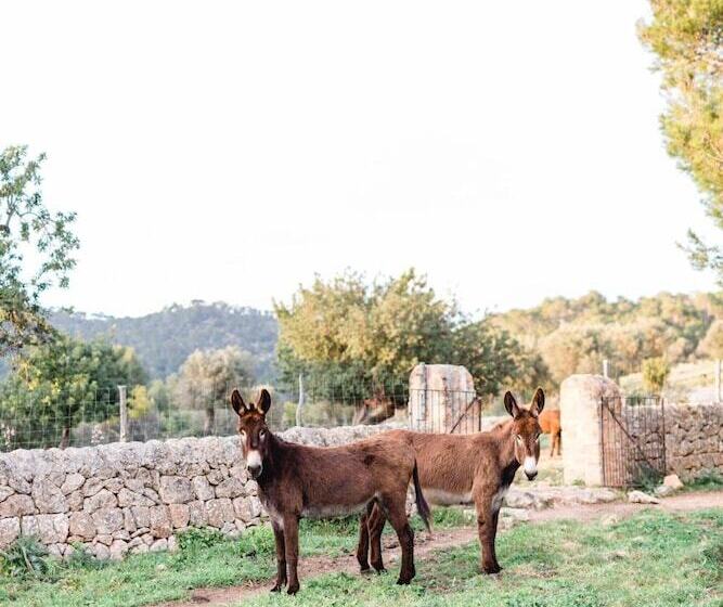 Пансион Finca Es Cabàs