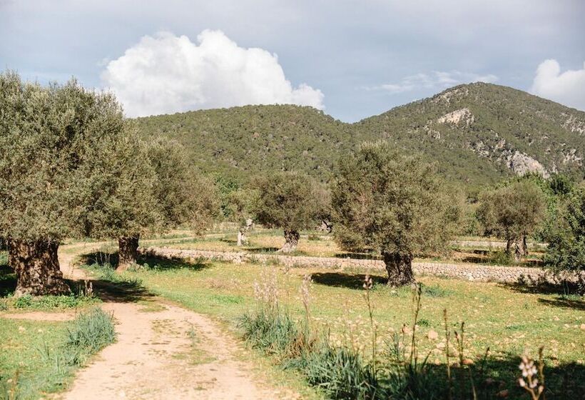 Пансион Finca Es Cabàs