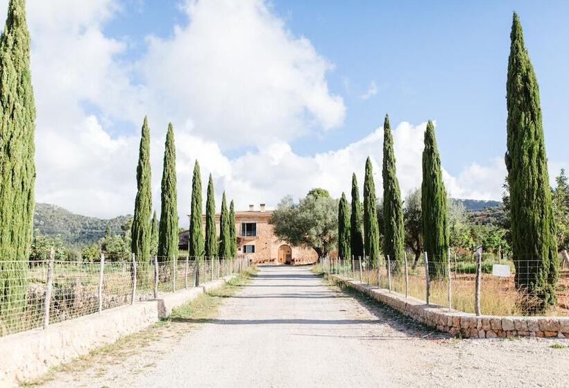 Пансион Finca Es Cabàs