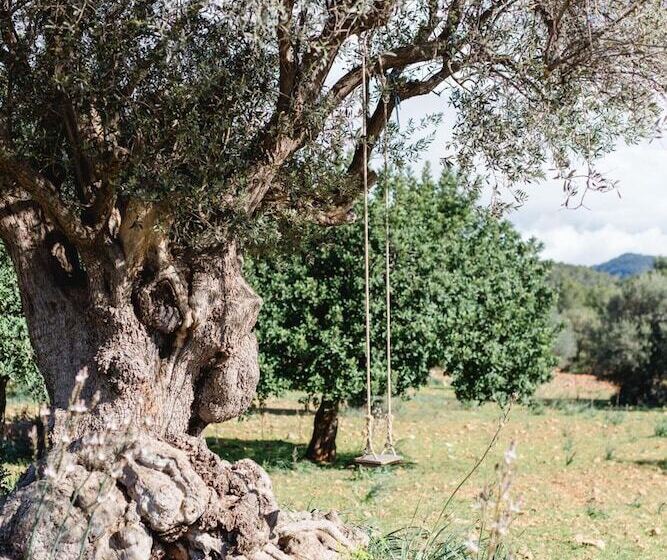 Пансион Finca Es Cabàs