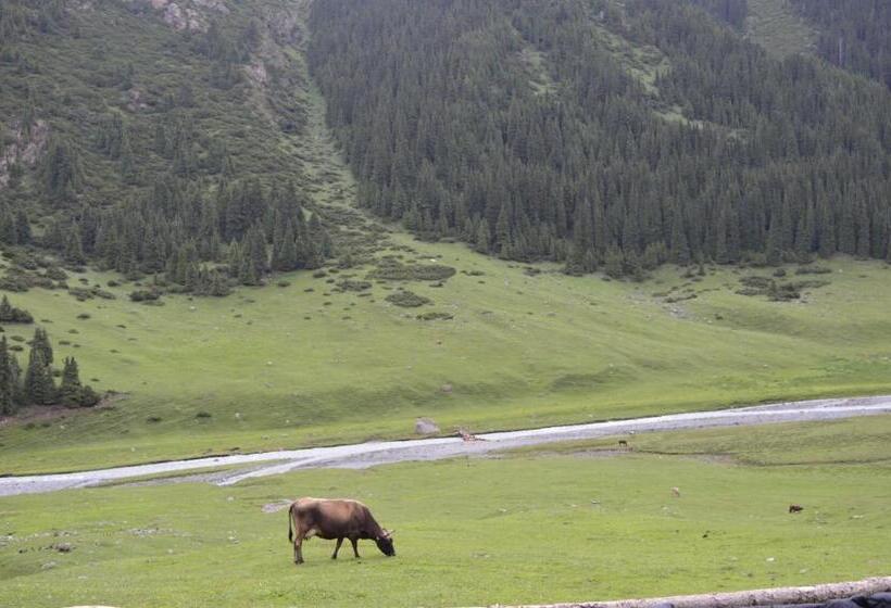 پانسیون Guest House On Derbisheva