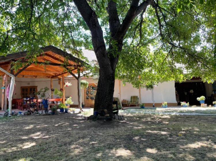 膳宿费 Guesthouse Kohári