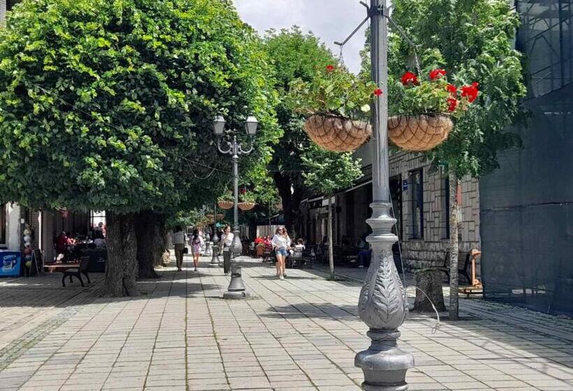 پانسیون Sibirska Central