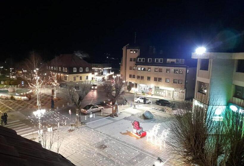 پانسیون Sibirska Central