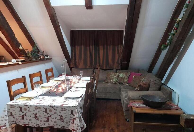 پانسیون Sibirska Central